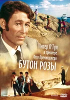 смотреть онлайн Бутон розы (1975) бесплатно в HD 