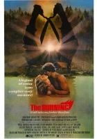 смотреть онлайн Сожжение (1980) бесплатно в HD 