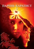 смотреть онлайн Парень-каратист 3 (1989) бесплатно в HD 