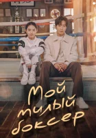  Настоящая боксёрша смотреть онлайн сериал 1 сезон 