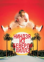 смотреть онлайн Ниндзя из Беверли Хиллз (1997) бесплатно в HD 