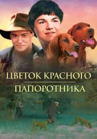 смотреть онлайн Цветок Красного папоротника (2003) бесплатно в HD 